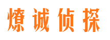 磐安市调查公司